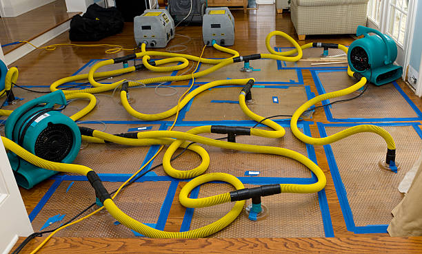 Professional Crawl Space Water Removal technician working in Britton, MI